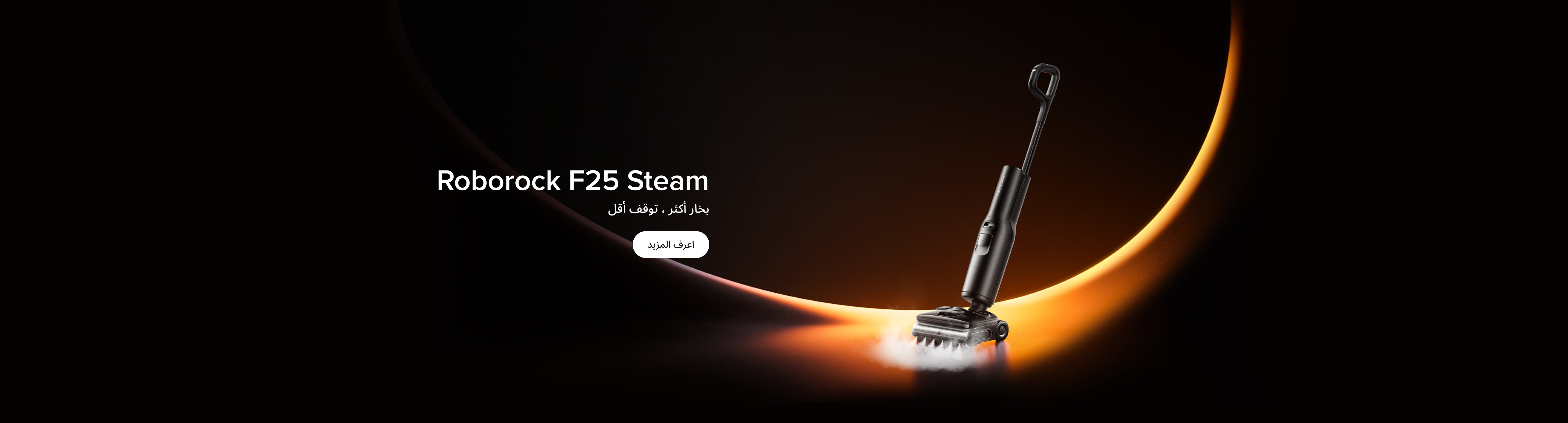 roborock-f25-steam