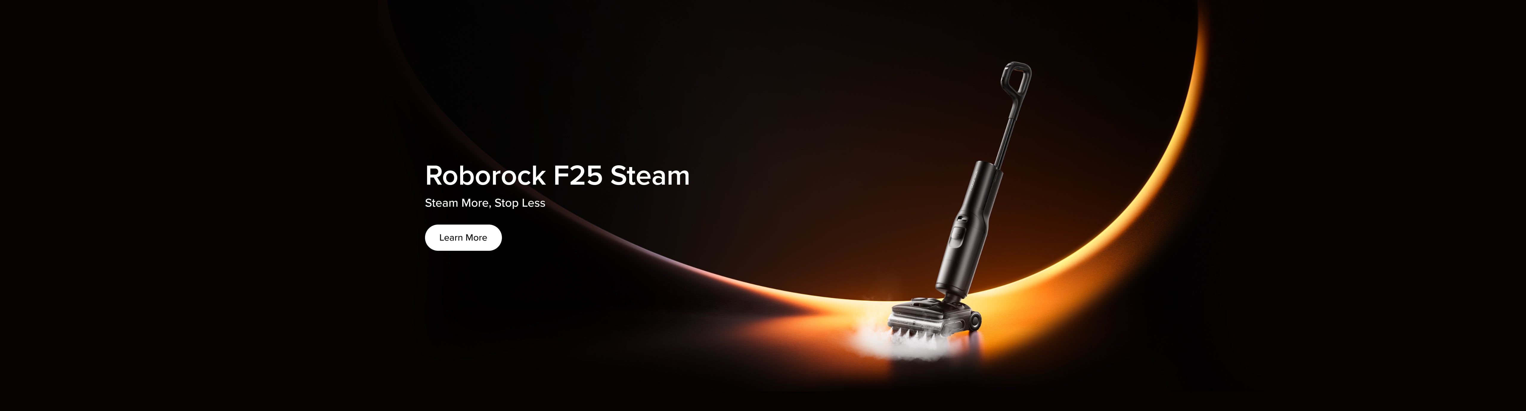 roborock-f25-steam